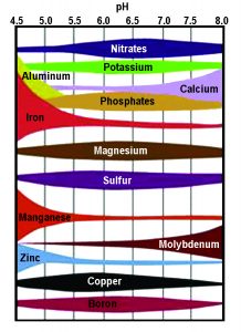 Prescription Soil Analysis – A Member of the Green Pro Family of Companies